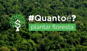 Plataforma calcula investimento para recuperar floresta nas propriedades