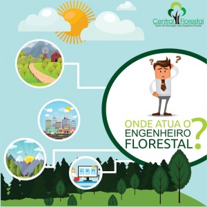 ENEM: Tudo sobre o curso de Engenharia Florestal
